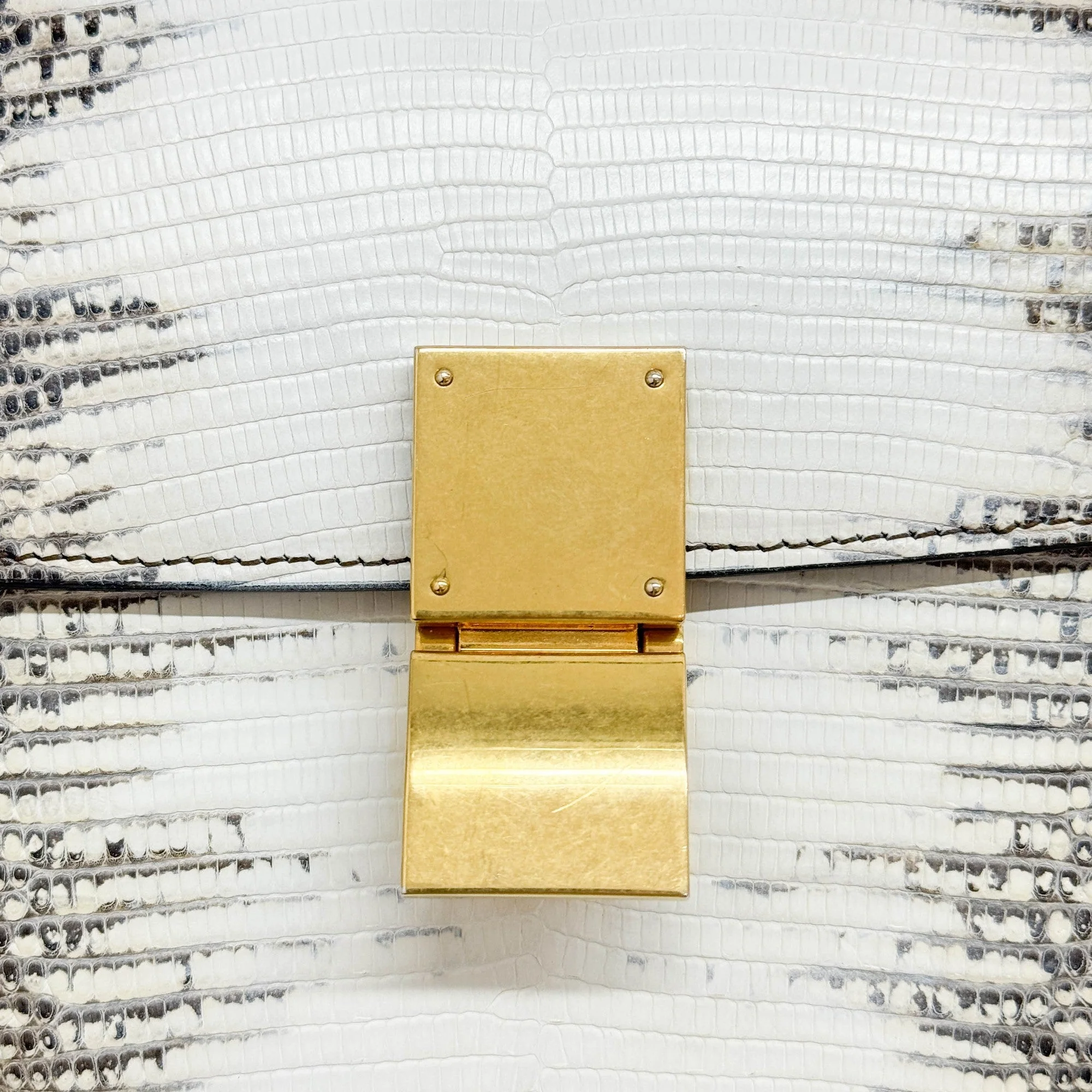 Box Bag White Python Embossed Leather Crossbody Bag - Image 13